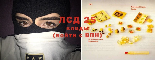 трава Наволоки
