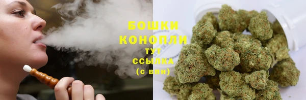 трава Наволоки