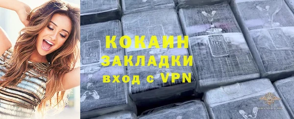 трава Наволоки