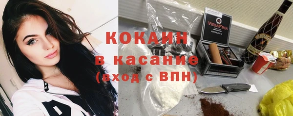 трава Наволоки