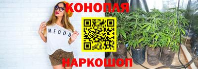 гашиш Гатчина