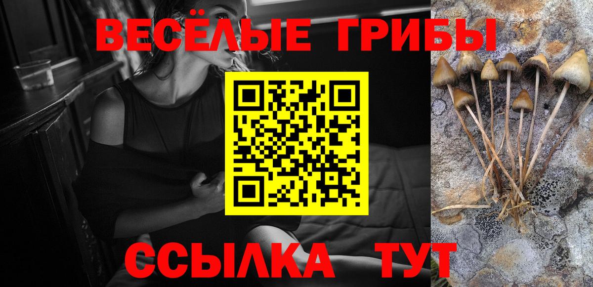 Галлюциногенные грибы GOLDEN TEACHER Красноармейск