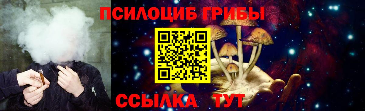 Красноармейск  Псилоцибиновые грибы MAGIC MUSHROOMS  Вход с VPN 